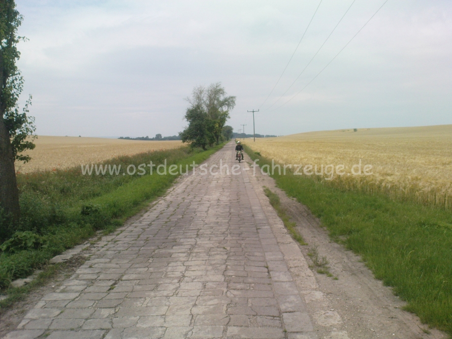 Am nächsten Tag machten wir eine Tagestour nach Rudolstadt. Kleine Wege bevorzugt!