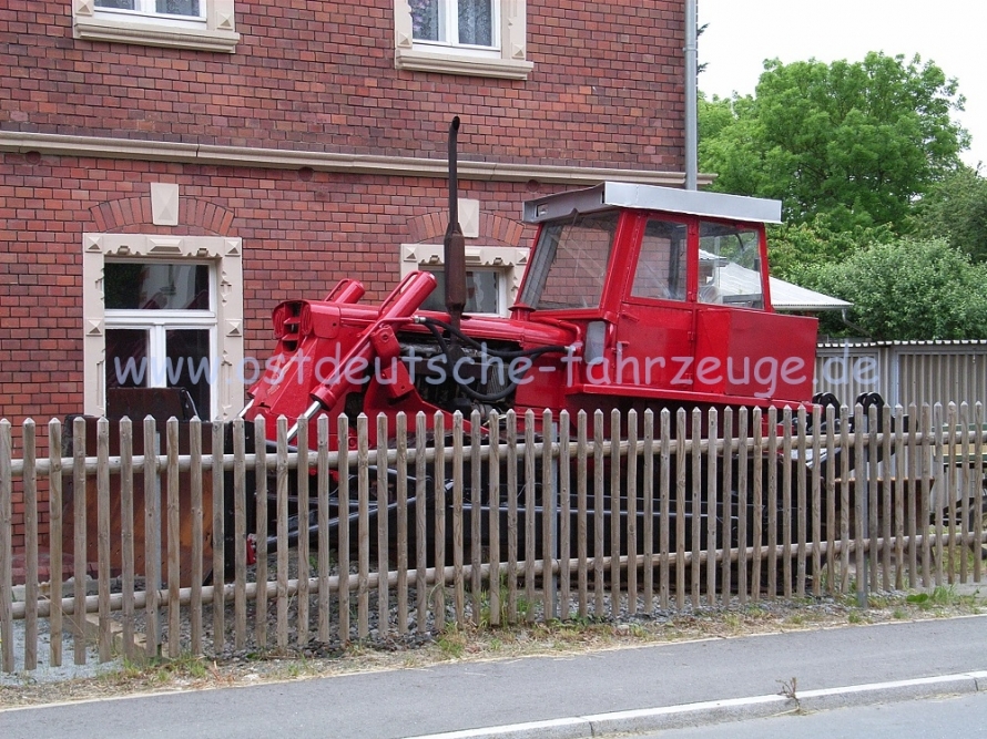 Normale Leute haben Blumen im Vorgarten...