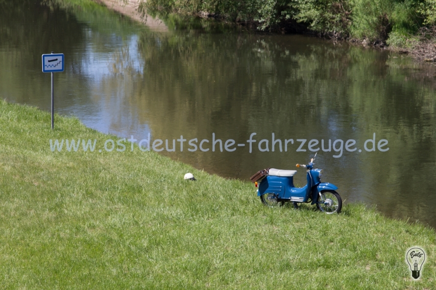 Schwalbe am Wasser