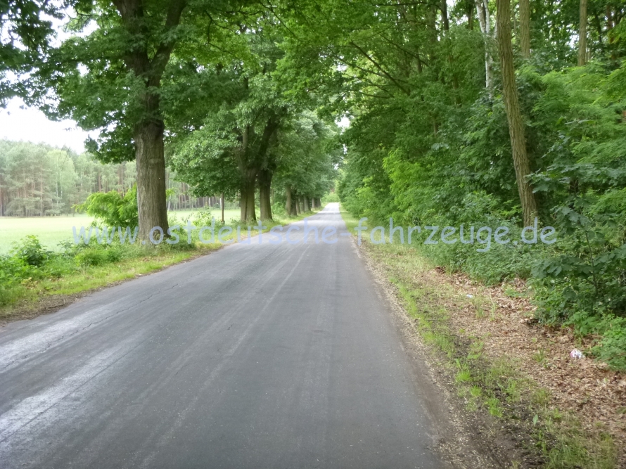 Traumhaft freie Straßen!