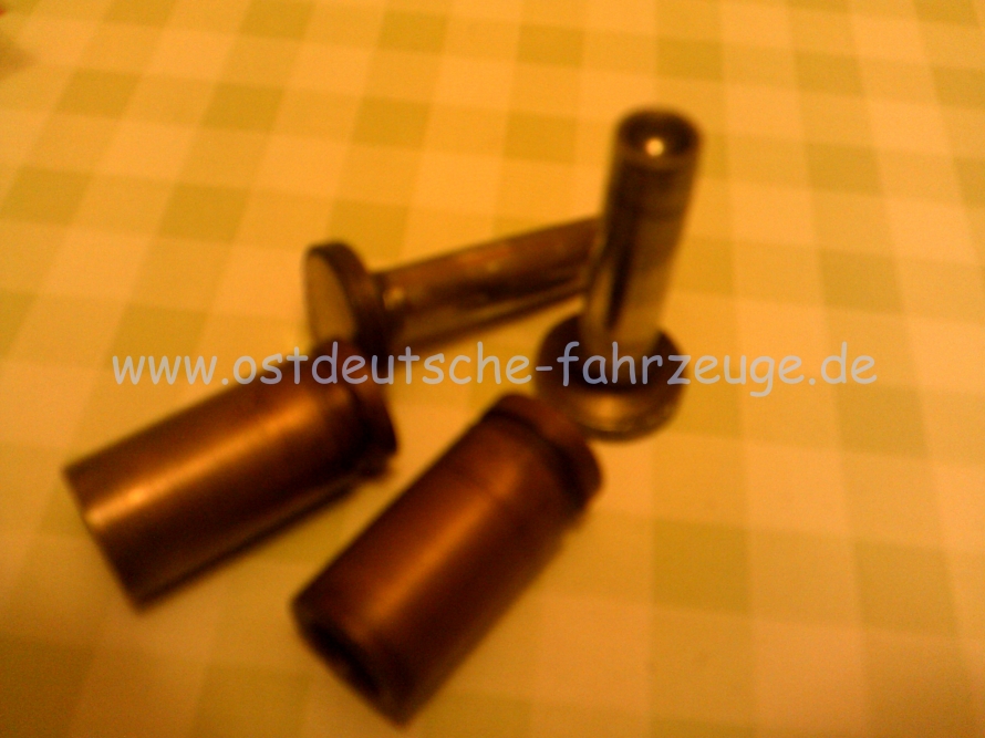 voll die org. Rennstößel.JPG