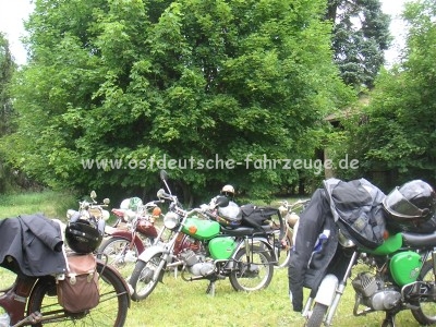 Halt auf einer idyllischen Wiese