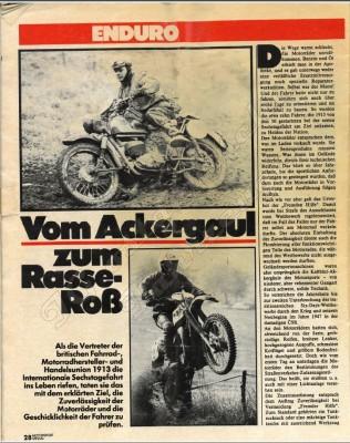 Vom Ackergaul zum Rasse-Roß