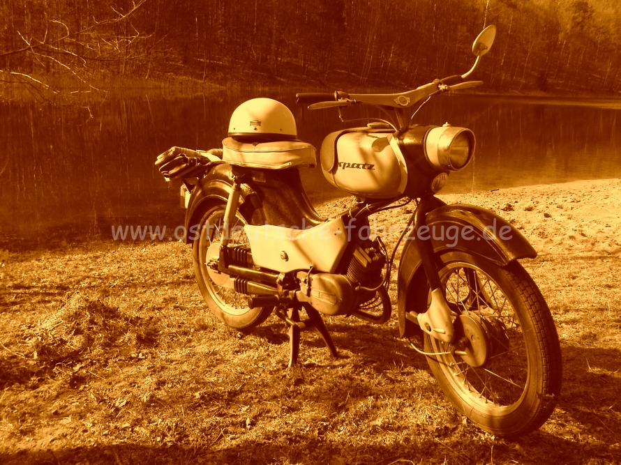 An einem kleinen See im Wald