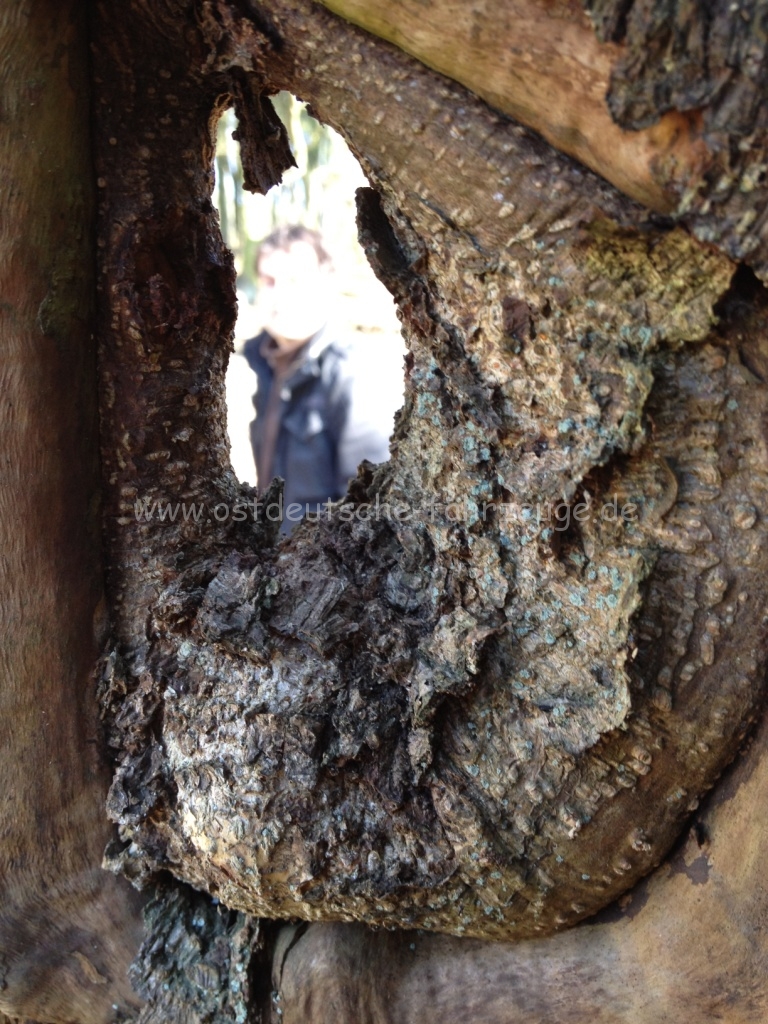 IMG_1544 - Kopie.JPG