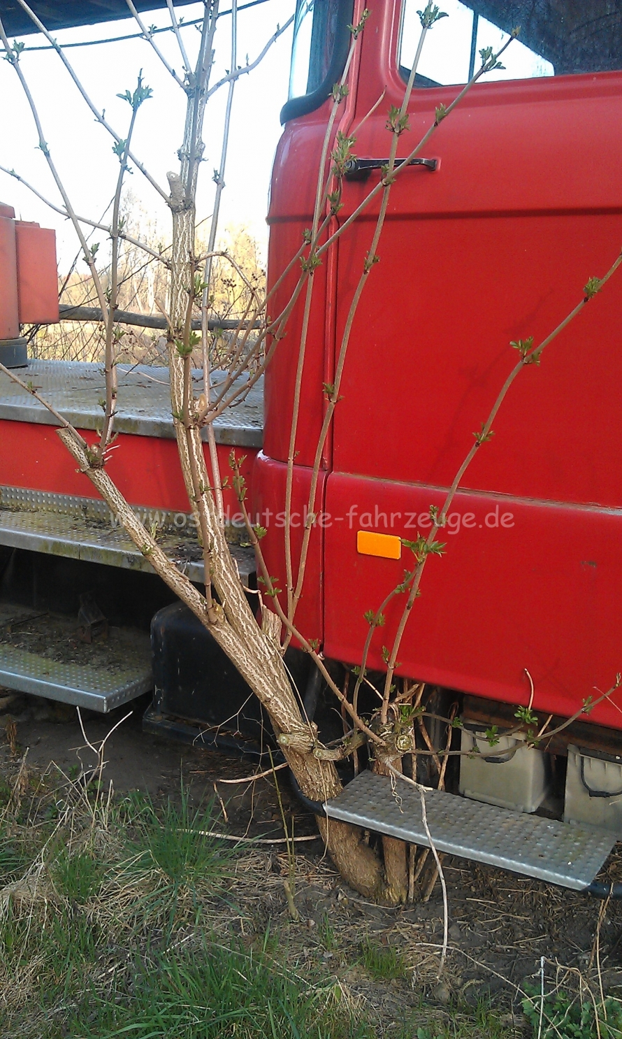 Die stehen da wohl schon länger...