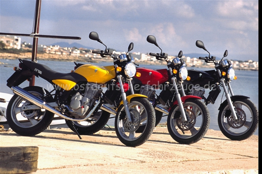 1999 RT 125   05.jpg